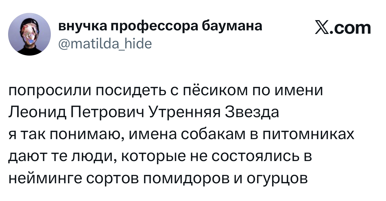 Лучшие шутки дня из X (Twitter): юмор, который не заблокировать