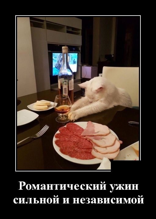 Демотиваторы дня. Классика жанра Демотиваторы дня. Классика жанра демотиваторы