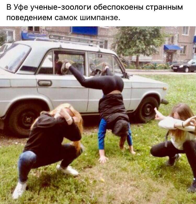 Смешные комментарии из социальных сетей прикол, юмор