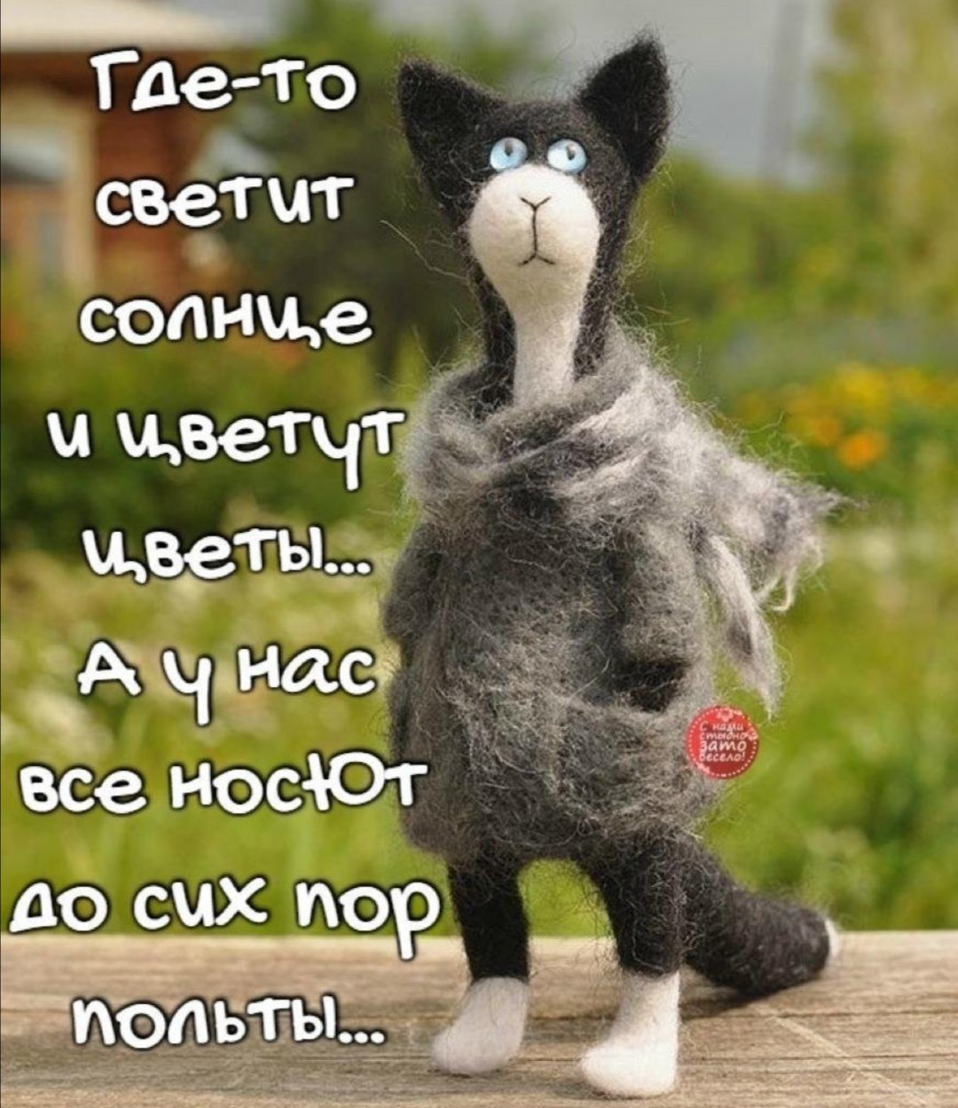 Если бы у вас появилась возможность надавать ремнем по заднице тому, кто виноват в большинстве ваших проблем, вы бы еще неделю сидеть не могли туфель, Власть, когда, Вовочка, туфли, будет, добро, хорошо, распухла, очень, остановке, испытала, передать, одной, другой, смотрит, обезьянкой, невозможно, после, оставив