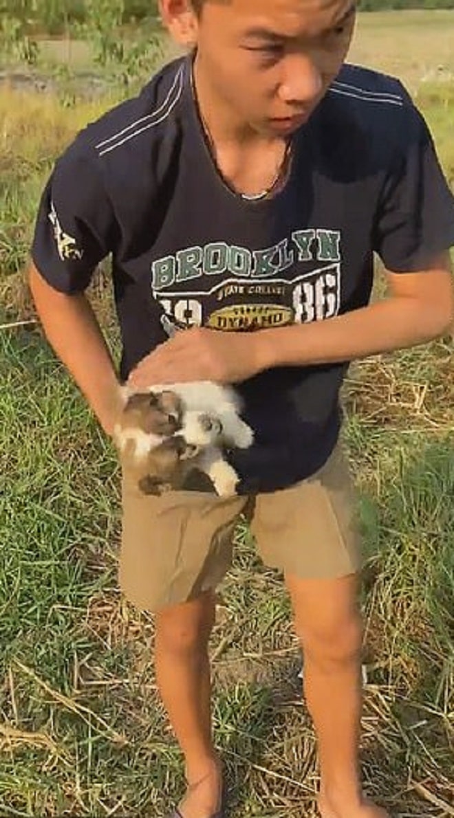 Щенок на руках