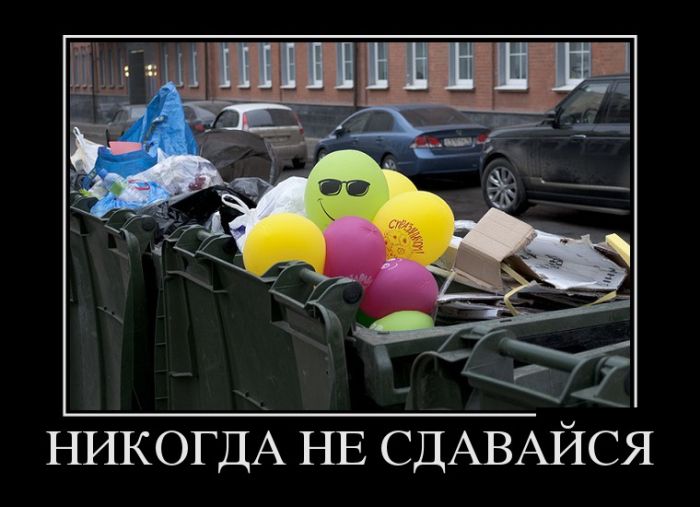 Очередная коллекция отличных демотиваторов, которые вызовут улыбку и сделают день позитивным!