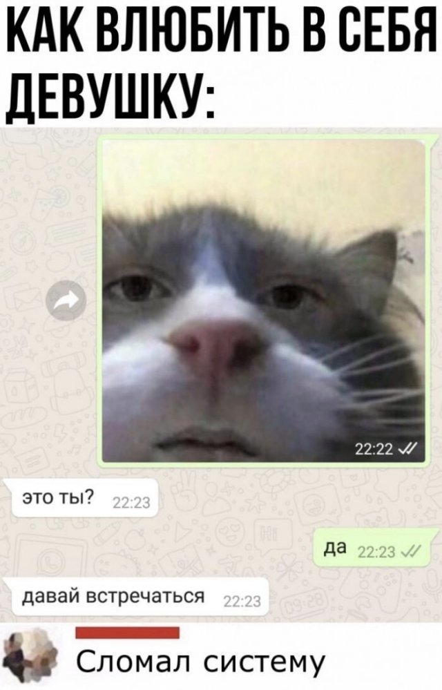 Смешные комментарии к постам в социальных сетях Смешные комментарии к постам в социальных сетях позитив,юмор