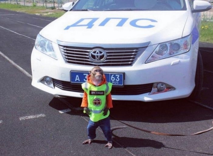 Удивительные кадры из России Удивительные кадры из России