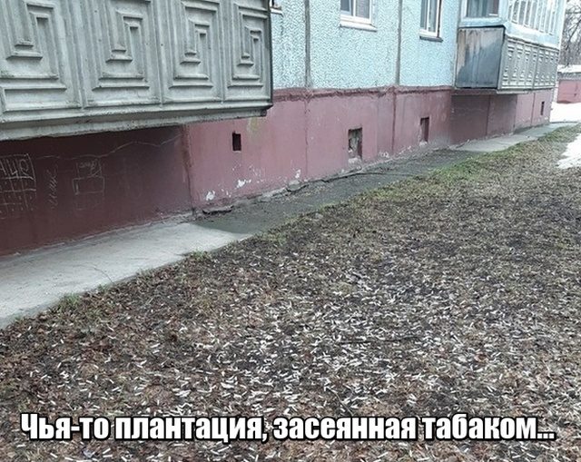 Смехотерапия. 25 лучших приколов дня Смехотерапия. 25 лучших приколов дня смешные картинки