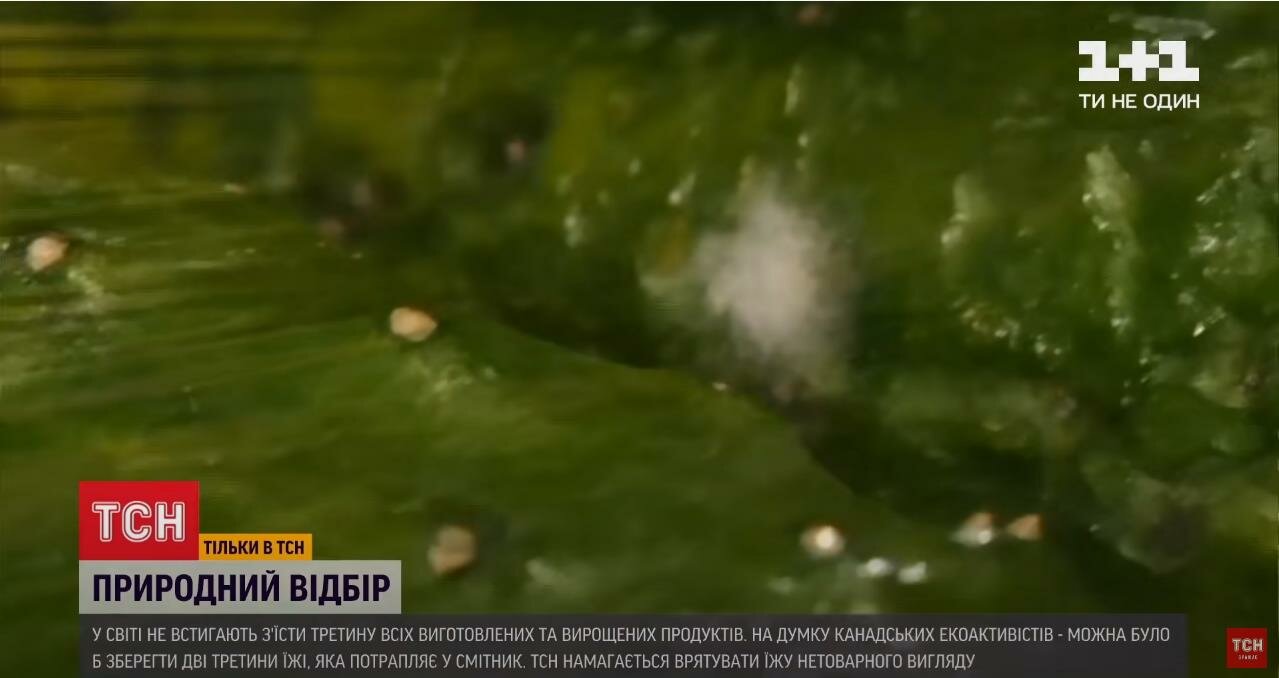 Лайфхак от ТСН украинцам: как сэкономить на еде украина