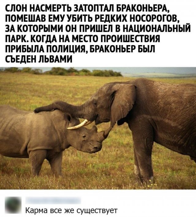 Смешные комментарии к постам в социальных сетях Смешные комментарии к постам в социальных сетях позитив,юмор