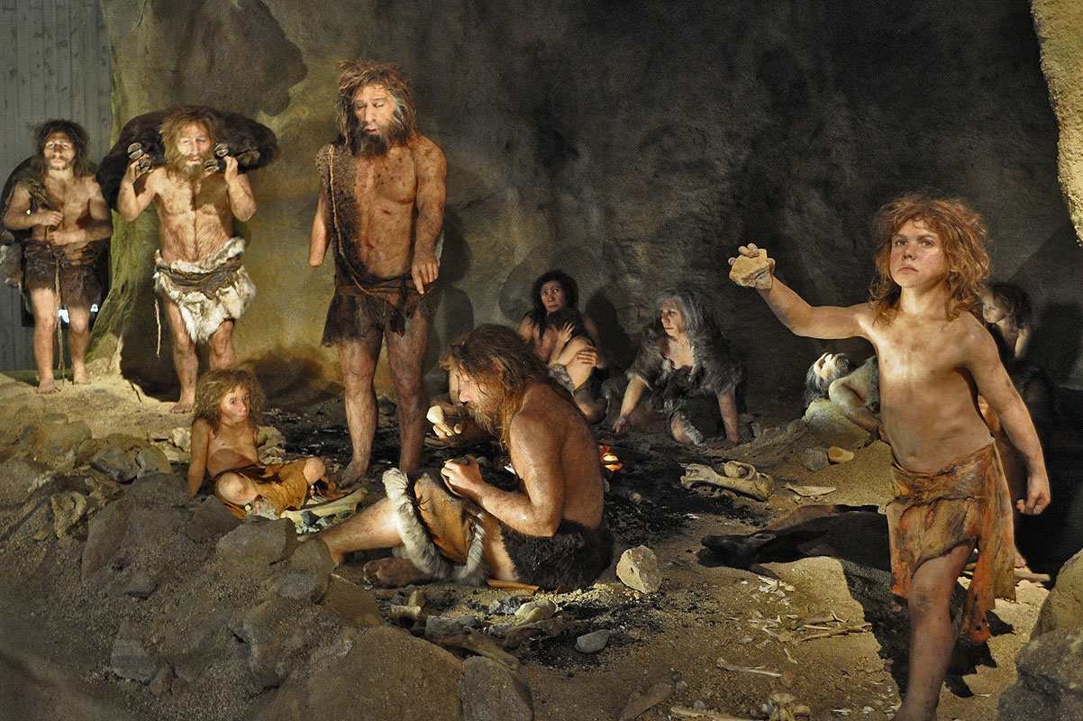 Одной из причин вымирания неадертальцев назвали секс с предками Homo sapien...