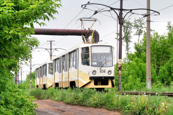 Еду в трамвае, и тут незнакомая женщина резко хлопает меня по плечу…