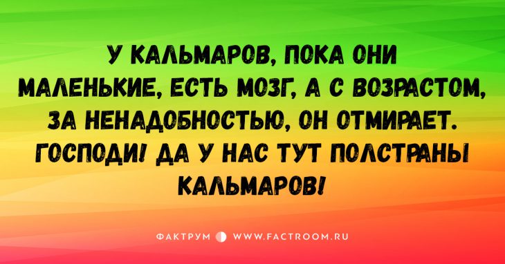 15 остроумных коротких шуток, вселяющих бодрость и позитив!