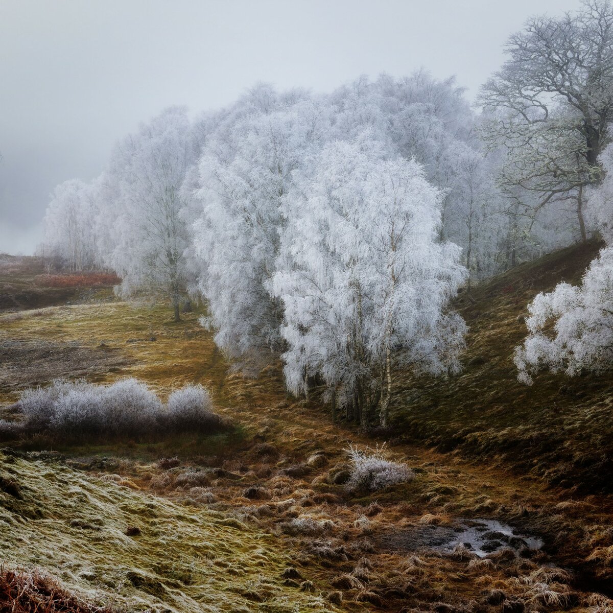 © Tim Hodges (Великобритания) «Морозная дорожка».
Шорт-лист в категории «Пейзаж» | Sony World Photography Awards 2022
