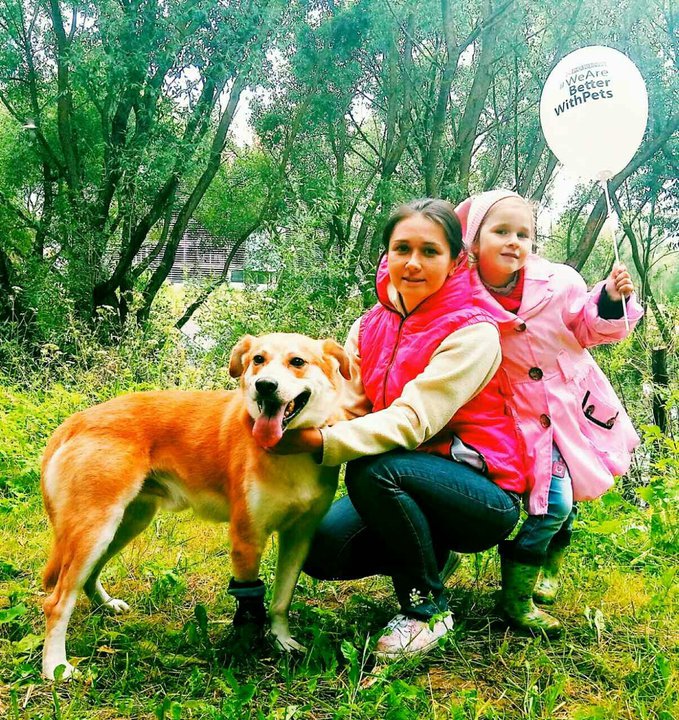 «Мы подошли к псу, у которого не было лапки… И уже не смогли уйти» «Мы подошли к псу, у которого не было лапки… И уже не смогли уйти»