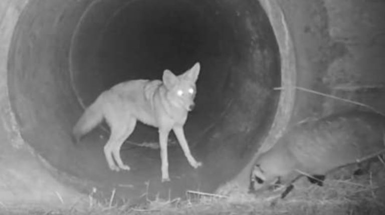 BeFunky-collage - 2020-02-07T120612.087