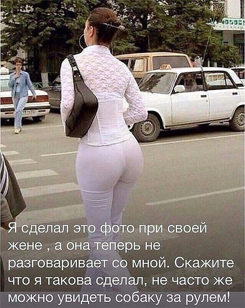 На въезде в Одессу патрульный останавливает авто... Весёлые,прикольные и забавные фотки и картинки,А так же анекдоты и приятное общение