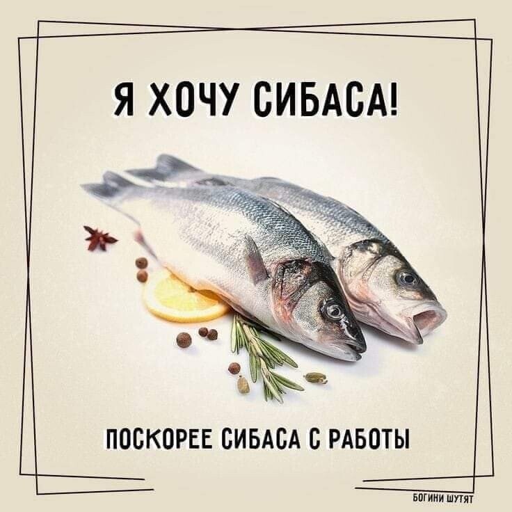 Мой приятель пару месяцев назад расстался с девушкой... кресло, например, машину, КамАЗ, совсем, ребёнке, памяти, недавно…Хоть, убейте, понимаю, зачем, нужна, туалетная, бумага, откуда, запахом, оправдывается, ромашки, использования, никто