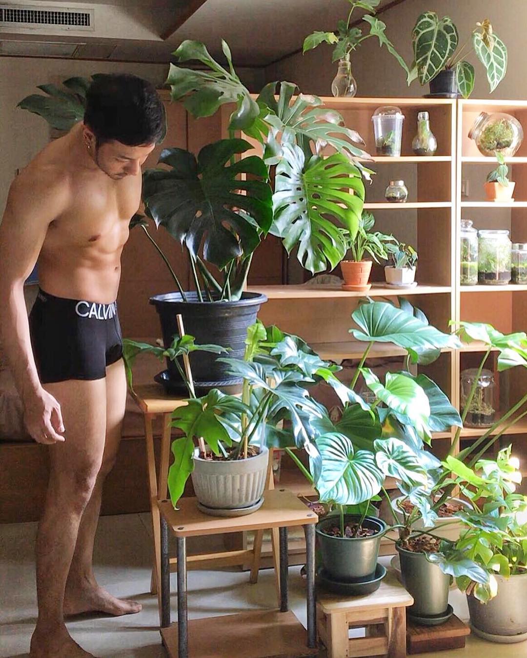 Популярный Instagram-аккаунт «Boys with Plants», где полуголые мужчины позируют с растениями 