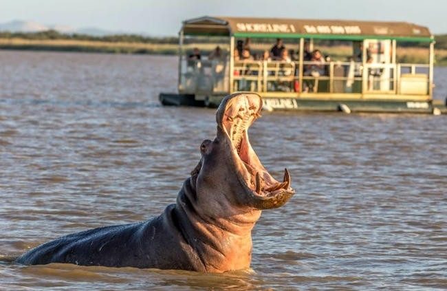 9 самых опасных направлений в мире для настоящих смельчаков 