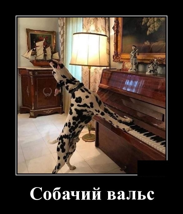 Демотиваторы 11 февраля 