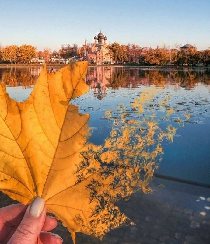 Фотошоп? Да, но красиво! фотография