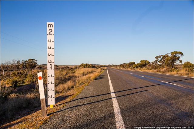 Зачем на австралийских дорогах ставят двухметровую линейку