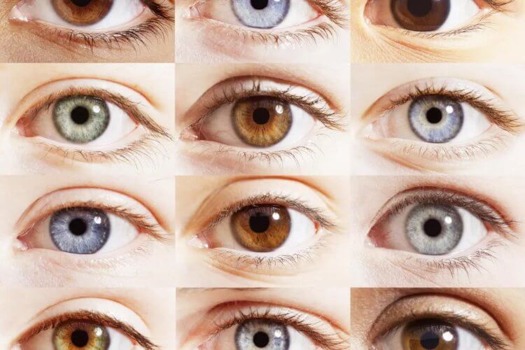 Почему глаза разного цвета и какой цвет самый редкий? биология,генетика,наука,научные исследования