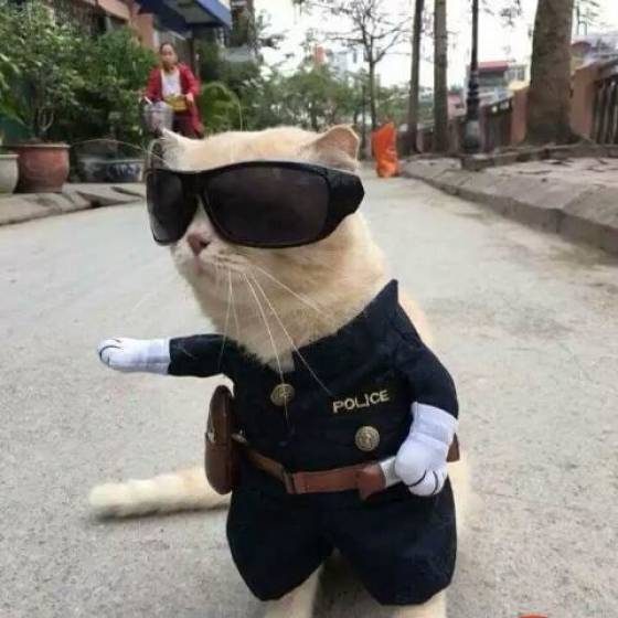 Смех - лучшее лекарство 