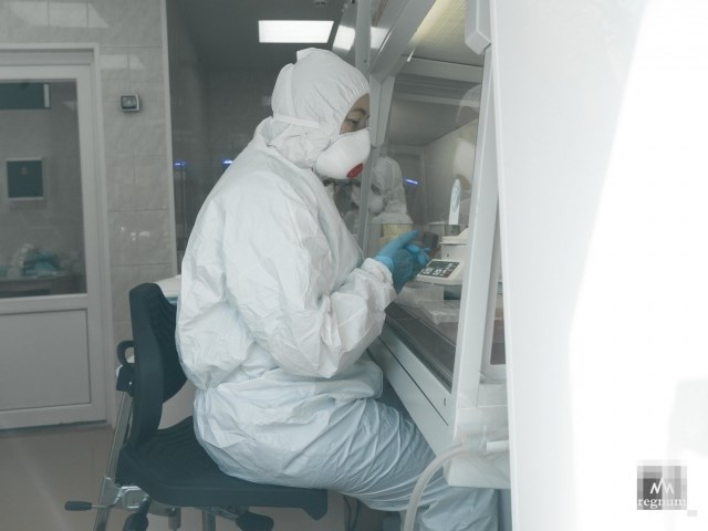 Курочка по зёрнышку клюёт — тесты на COVID-19 и интересы семьи Голиковой россия