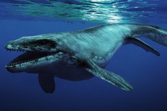 В морской бездне ученые обнаружили фантастическое количество живых существ