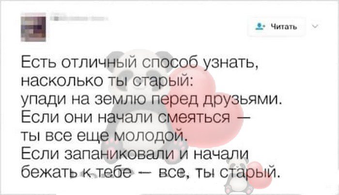 Лучшая подборка из 15 искрометных и веселых историй для отличного настроения Лучшая подборка из 15 искрометных и веселых историй для отличного настроения