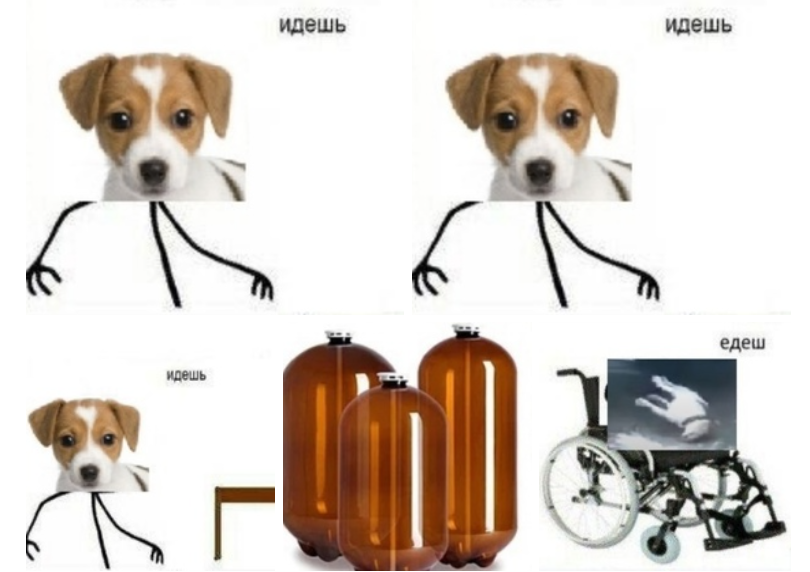 собака и кега мемы