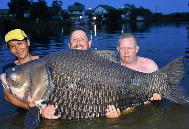 Когда приехал в Таиланд порыбачить