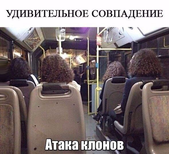 Прикольные картинки. Дневной выпуск (50 фото)