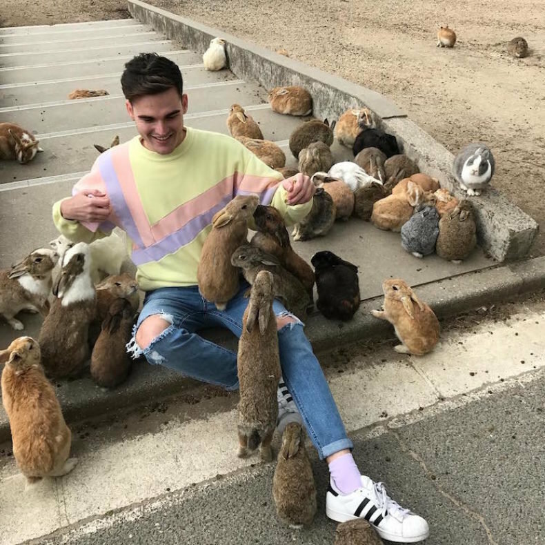 Остров Окуносима, где живут тысячи кроликов, умиляет туристов настолько, что они хотят остаться можно, кролики, очень, всего, Кстати, являются, давно, основным, которые, животных, который, остров, дикие, кроликов, нужно, лучше, место, здесь, туристов, стоит