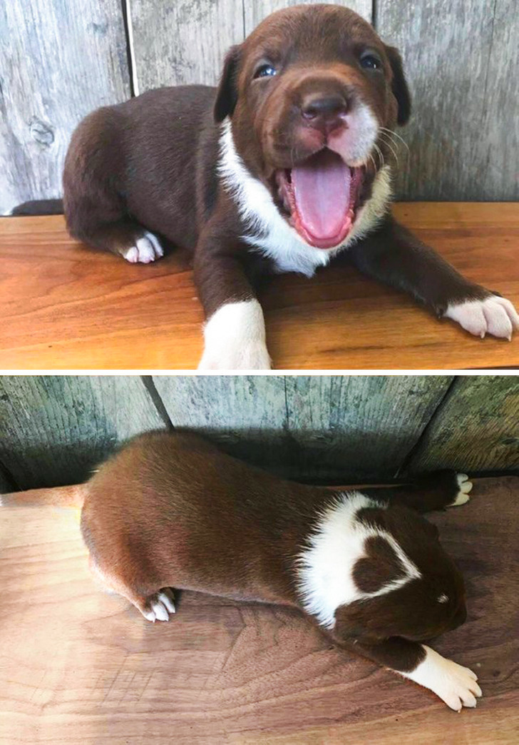 15 доказательств того, что в мире есть еще вещи, которых мы не видели 15 доказательств того, что в мире есть еще вещи, которых мы не видели