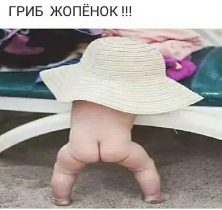 Веселые истории о нас. Лето 