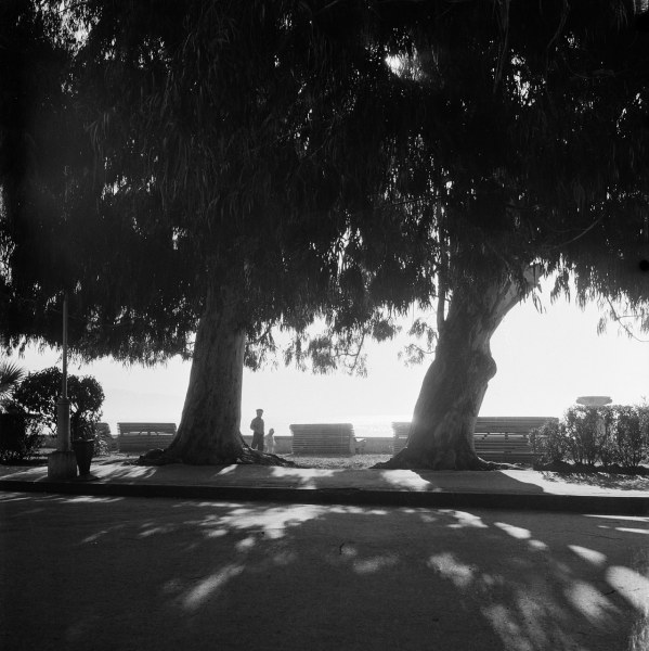 Уютный Сухуми в 1950-х годах (72 фото)