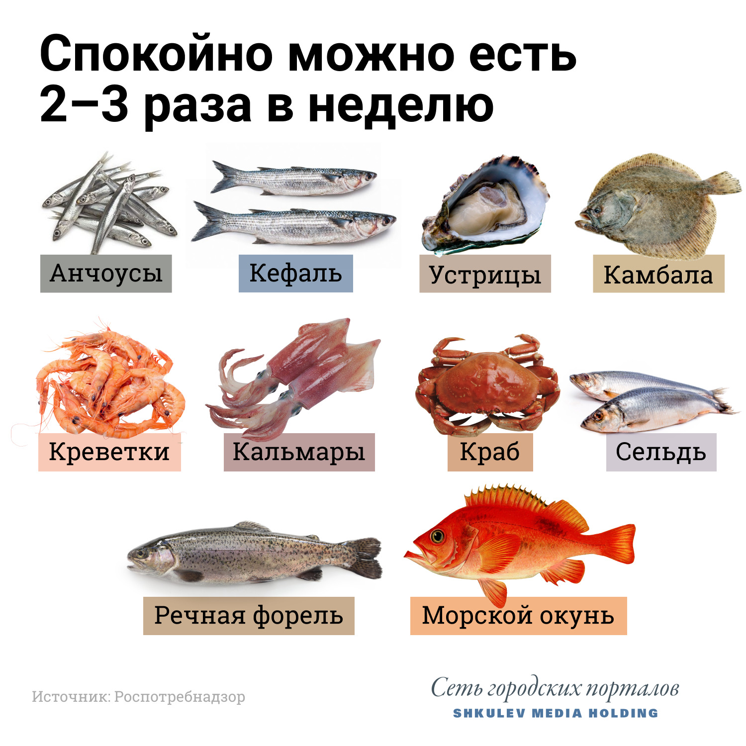 Посмотрите на хребет: 15 видов рыбы, которую лучше не есть больше, который, говорит, Калистратов, городских, Барташевич, Галина, только, стоит, лучше, лосось, может, продукты, могут, холестерина, чтобы, добавлением, продуктов, которые, заморозка