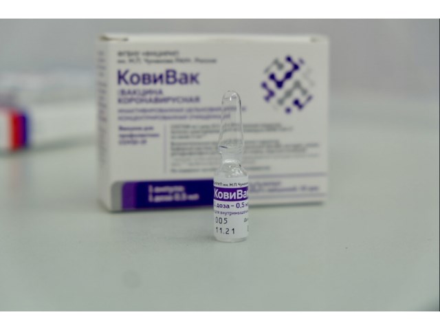 Курочка по зёрнышку клюёт — тесты на COVID-19 и интересы семьи Голиковой россия