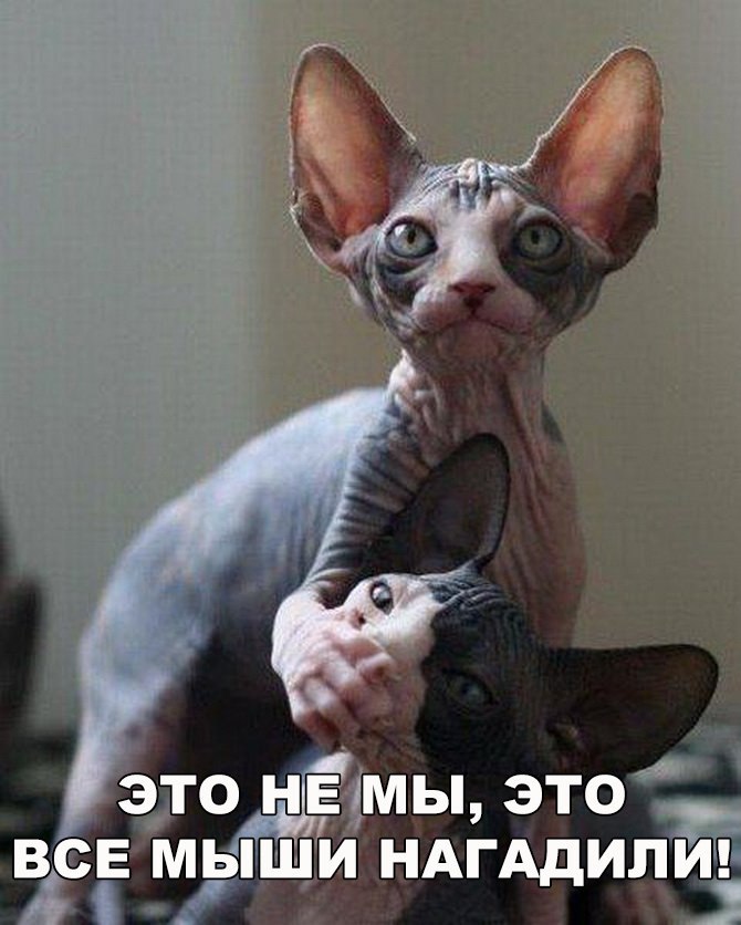 Днем учителя, открытки молчунам