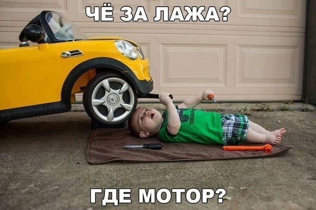 Социальный юмор Социальный юмор