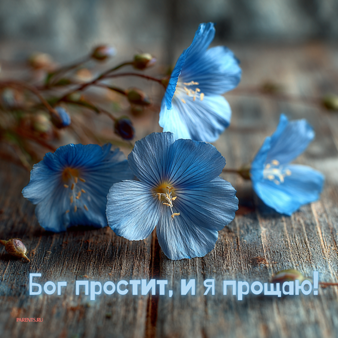 «Бог простит, и я прощаю»: 25 открыток, которые можно отправить на Прощеное воскресенье-2026 в ответ на извинения «Бог простит, и я прощаю»: 25 открыток, которые можно отправить на Прощеное воскресенье-2026 в ответ на извинения format-article,noindex,Стиль жизни