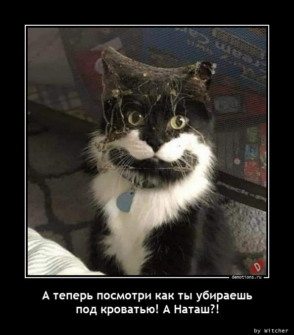 Свежая подборка демотиваторов: «Кто не работает, тот ест» 