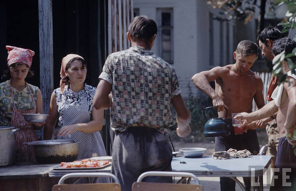 Молодые шестидесятых Молодые шестидесятых