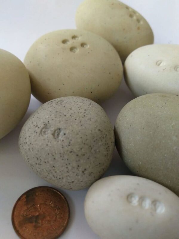 Фотография: Что это за штука? 40 загадочных предметов и их назначение №13 - BigPicture.ru