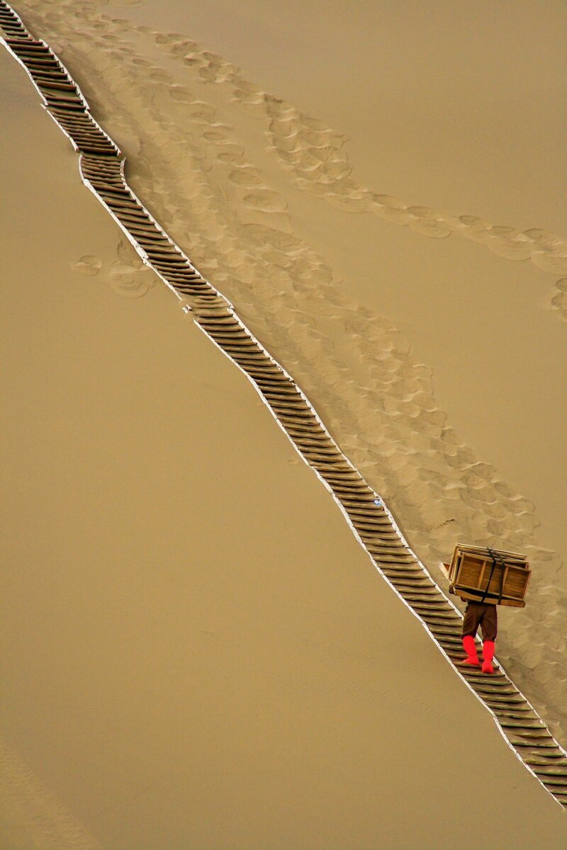 Добрый вечер! Добрый вечер! веселые картинки,юмор