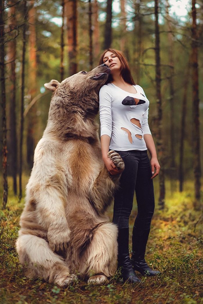 Обожаешь русские большие. Девушка и медведь. Красивая девушка с медведем. Девушка с медведем фотосессия. Фотосессия с медведем в лесу.