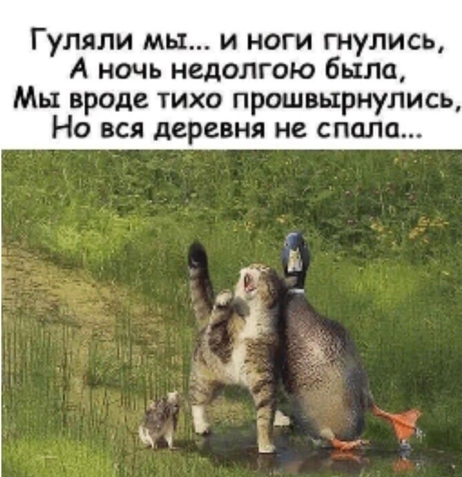 Юмор из интернета 616 веселье,позитив,смех,смехотерапия,улыбки,юмор