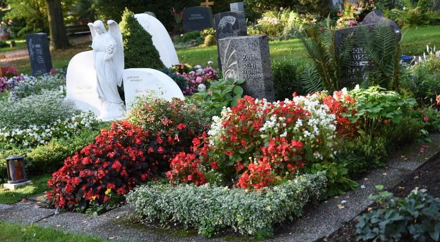 Какие цветы посадить на кладбище многолетние неприхотливые чтобы цвели все лето на солнце фото