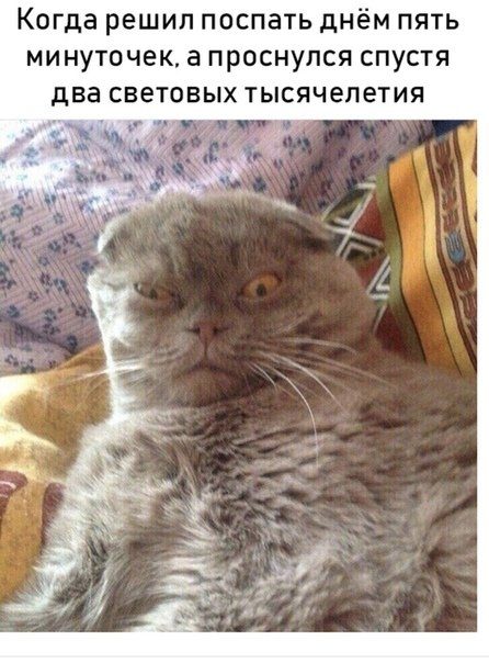 Весёлые фотомемы дня Весёлые фотомемы дня