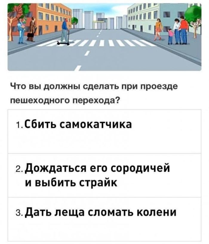 Анекдоты недели и Дональд с Илоном г,Санкт-Петербург [1414662]